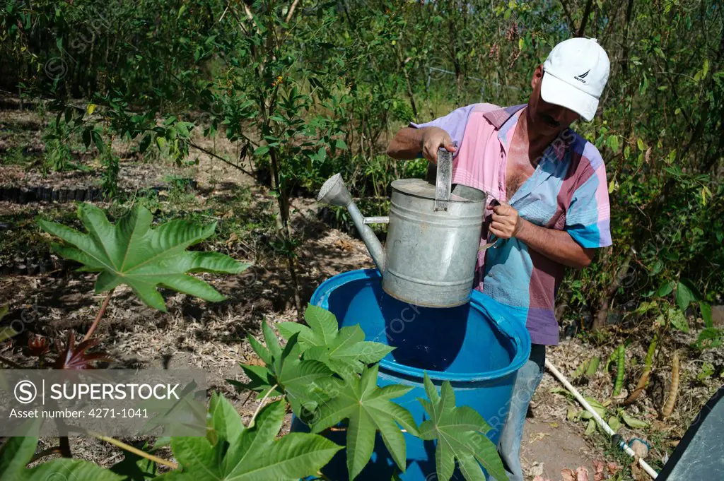 Nicaragua, Macuelizo, Farmer watering plants in the mountainous Nueva Segovia