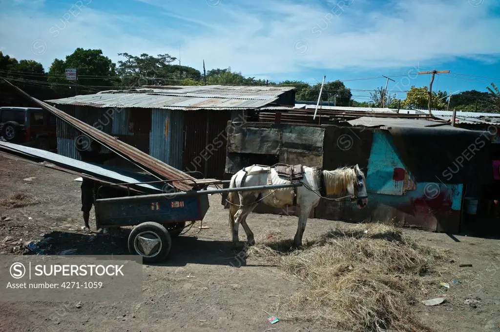 Nicaragua, Managua, Horse and cart at La Chureca Industrial waste disposal site