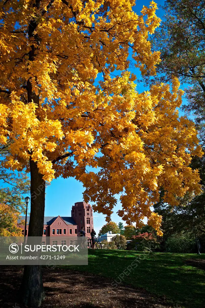 USA, Connecticut, New Haven, Autumn at Yale University