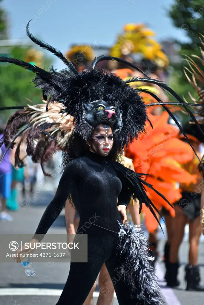USA, New York State, New York City, Jackson Heights neighborhood, Person wearing black cat costume during 2013 Queens Pride