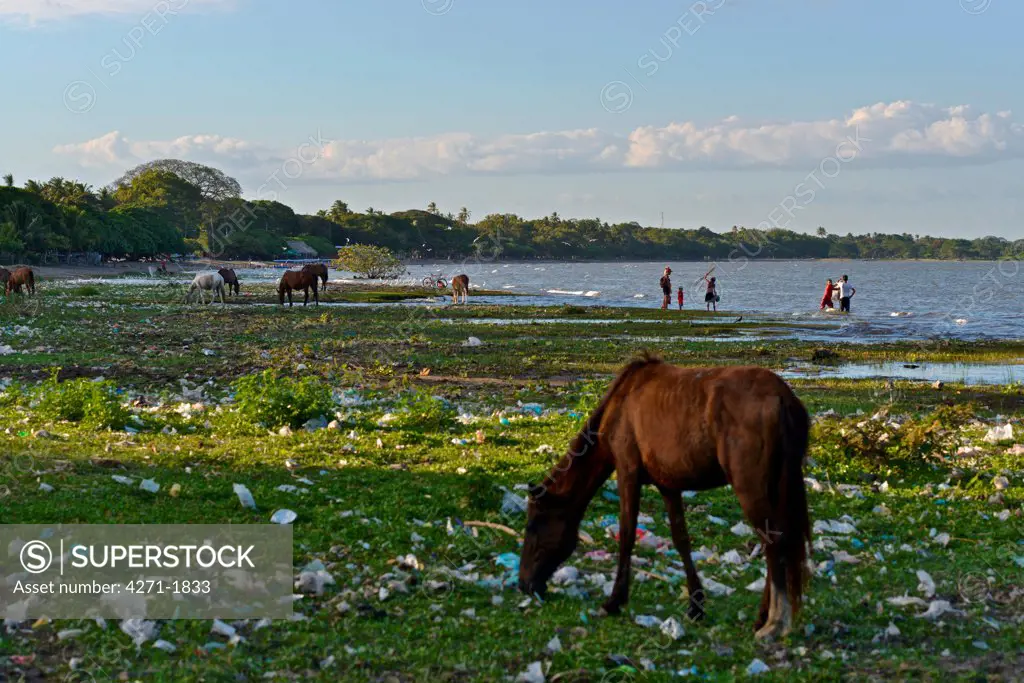 Pollution along the coast of the Lake Nicaragua (a.k.a. Lake Cocibolca), the world's twentieth largest lake.