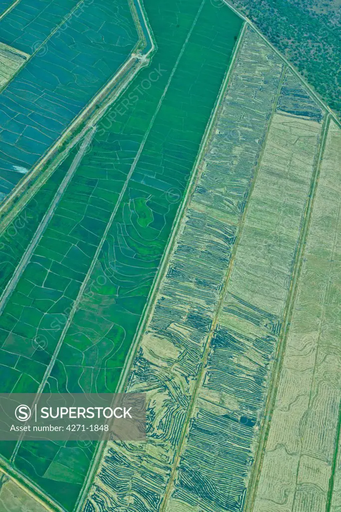 Farming fields around Lago de Nicaragua