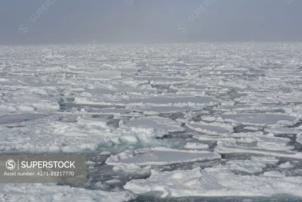 Ice edge at 82,11 degrees North. Svalbard Archipelago, Arctic Norway.