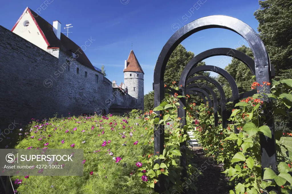 Estonia, Tallinn, Garden Outside Lower Town Wall