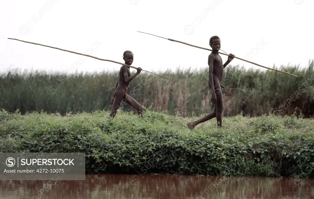 At daybreak, two Dassanech youths set out along the banks of the Omo River to spear-fish barbel, tilapia or Nile perch.  Considerable skill and patience is required to spear fish in shallow water.