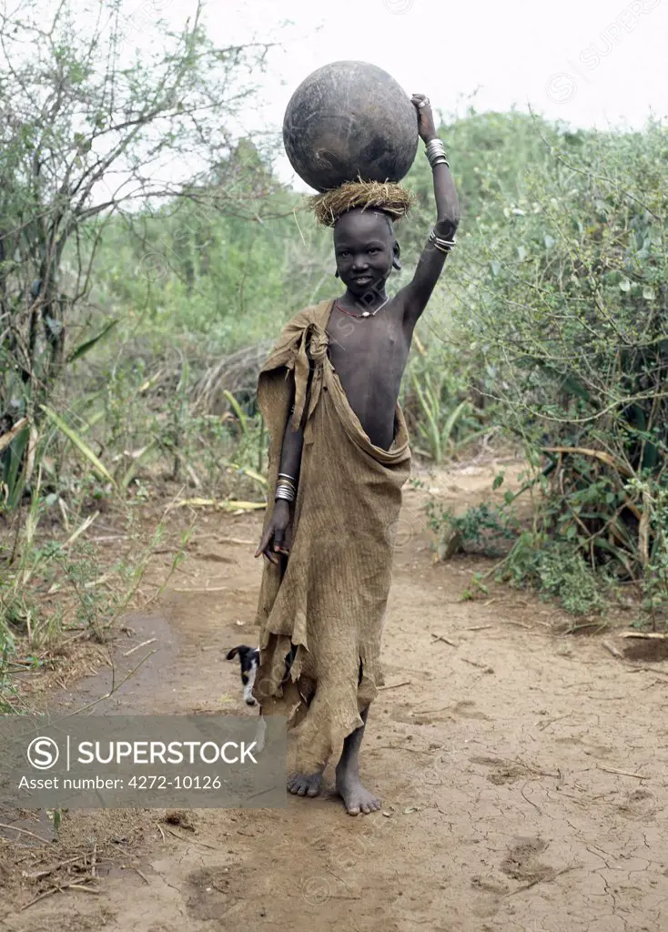 A Mursi girl, accompanied by her dog, carries a large clay pot to collect water from the Omo River.  Her earlobes are already pierced and extended, and decorated with round clay discs. She is dressed in skins, attractively decorated with thin stripes.  They live in a remote area of southwest Ethiopia along the Omo River.