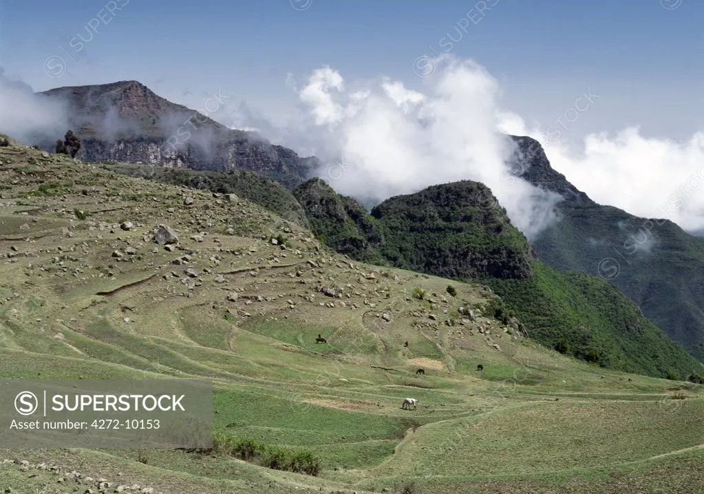 Ethiopia is a land of vast horizons and dramatic scenery.  The weathered mountains in the Ethiopian Highlands exhibit layer upon layer of volcanic material, which built the plateau into Africas most extensive upland region.