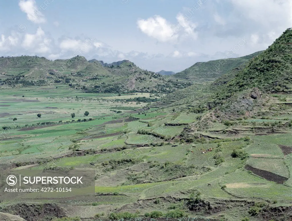 Ethiopia is a land of vast horizons and dramatic scenery.  The weathered mountains in the Ethiopian Highlands exhibit layer upon layer of volcanic material, which built the plateau into Africas most extensive upland region.