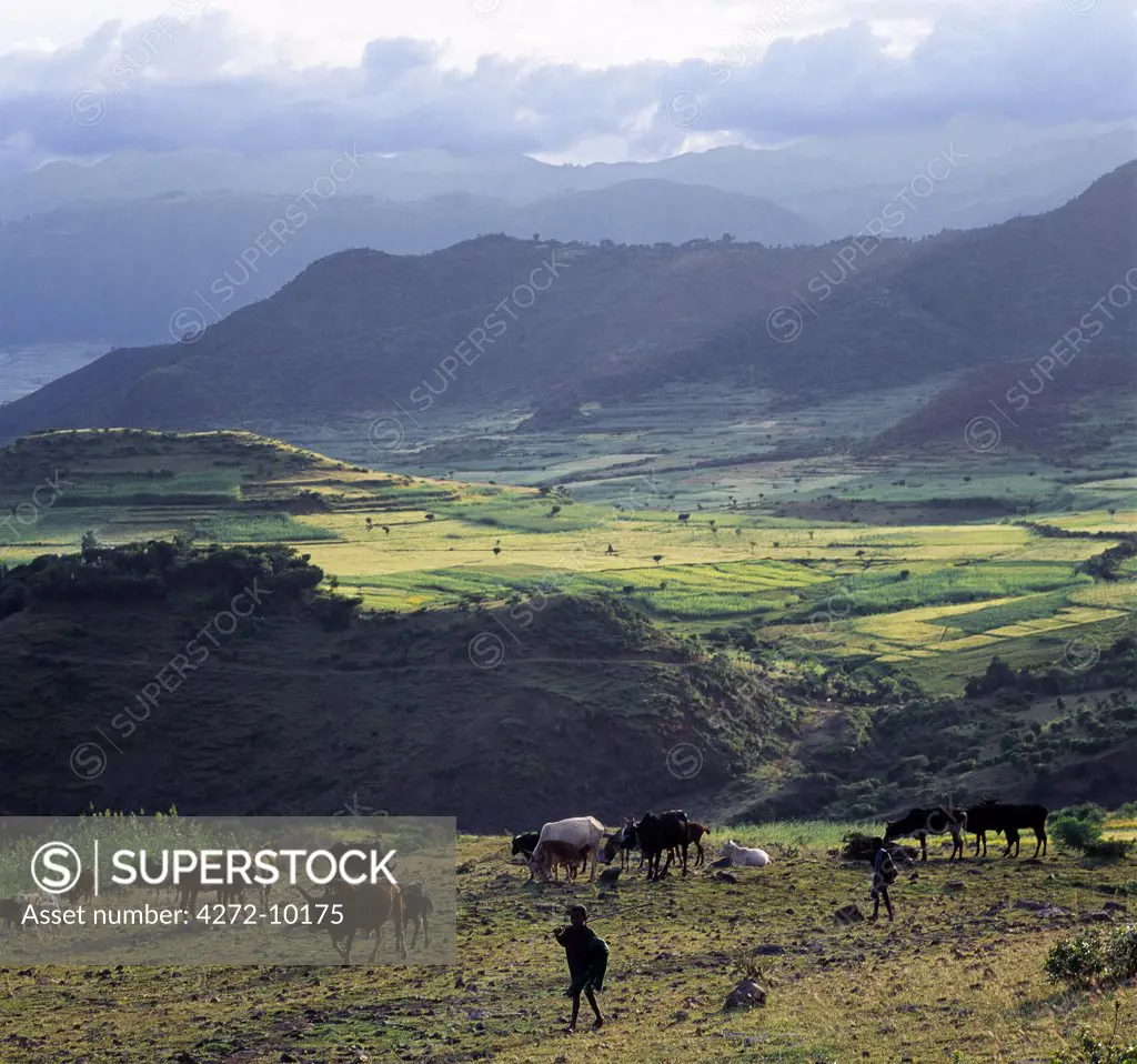 A view of spectacular mountain ranges between Senbete and Kombolcha.Ethiopia is a land of vast horizons and dramatic scenery.  The weathered mountains in the Ethiopian Highlands exhibit layer upon layer of volcanic material, which built the plateau into Africas most extensive upland region.