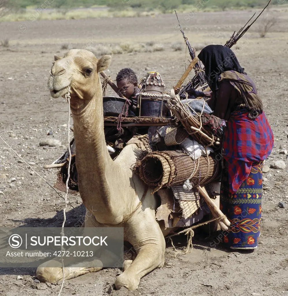 An Afar woman adjusts the load on her camel as her young child sits on top. Proud and fiercely independent, the nomadic Afar people live in the low-lying deserts of Eastern Ethiopia. Camels are valuable in these harsh conditions; they carry house structures and personal possessions, enabling families to follow the seasonal pattern of rain and grazing.