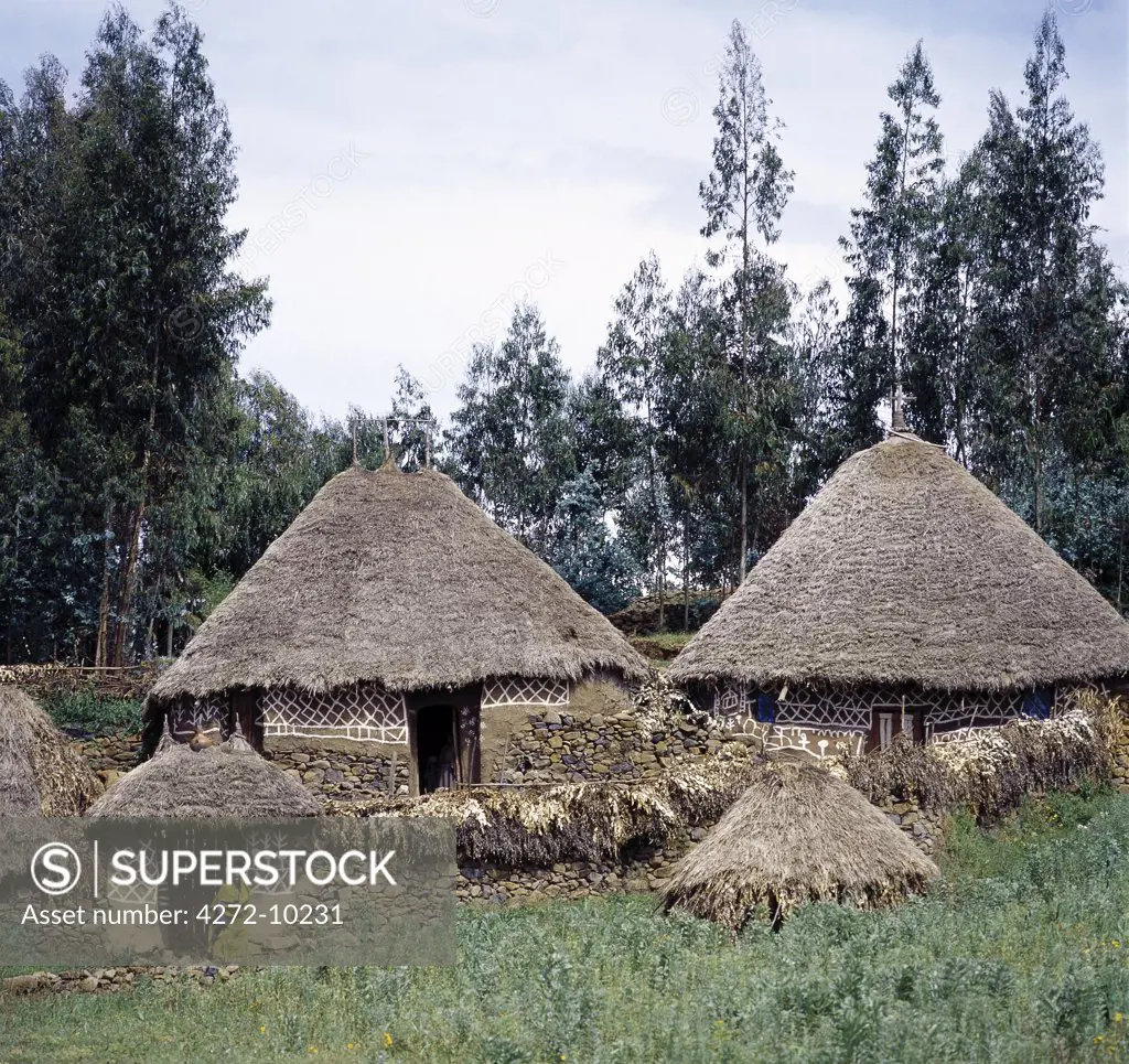 Attractively decorated traditional thatched houses belonging to an Orthodox Christian community in the Ethiopian Highlands, northeast of Addis Ababa. Most Amhara people living in the Ethiopian Highlands adhere to the Ethiopian Orthodox faith.  Ethiopia is Africa's oldest Christian nation.