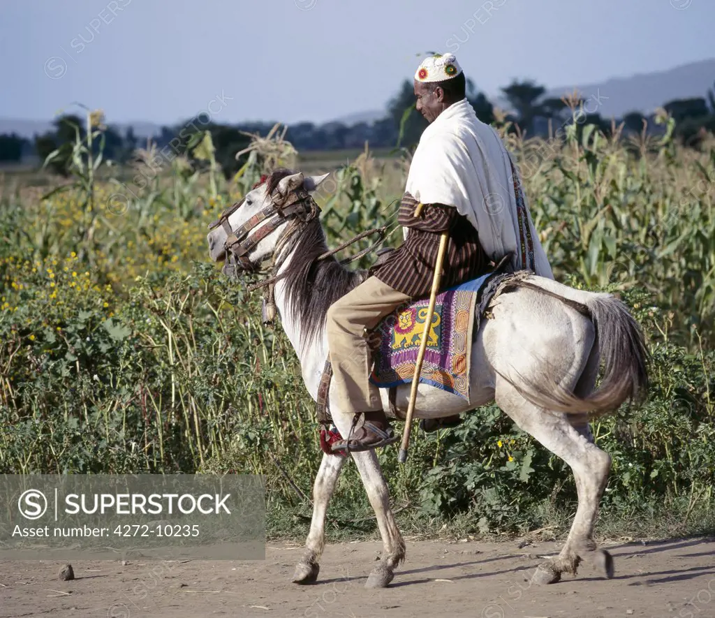 A man rides to market on his gaily-caprisoned pony. His saddlecloth is embroidered with Ethiopia's imperial lion. Lions are associated with Ethiopia's last monarch, the late Emperor Haile Selassie, who had the title Lion of Judah, and kept tame lions at his palace. Ethiopians are renowned for their equestrian skills and their ponies for their stamina.,,,,,