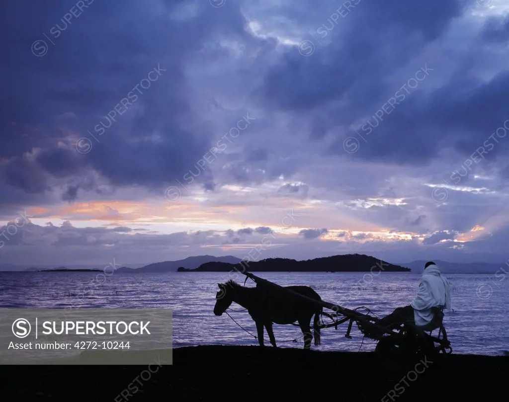 Dawn at Lake Ziway, Central Ethiopia, with the silhouette of a horse-drawn buggy.Horse-drawn buggies are widely used as taxis in the Ethiopian Highlands and in the Rift Valley south of Addis Abeda. Abyssinian horses and ponies are renowned for their stamina