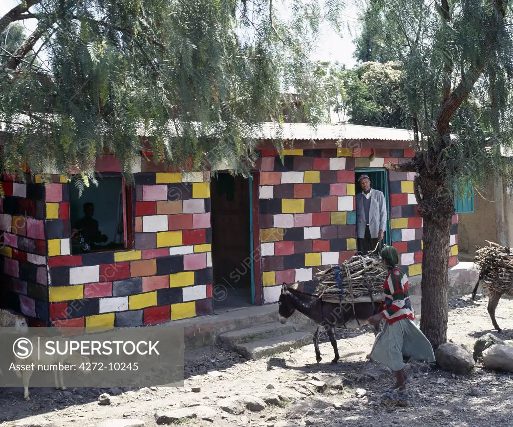 A colourful shop front in a small town between Ziway and Butajira in Central Ethiopia. The donkeys are carrying firewood to a local tea shop. Wood is in very short supply in Ethiopia; many households cook using dried cowdung.
