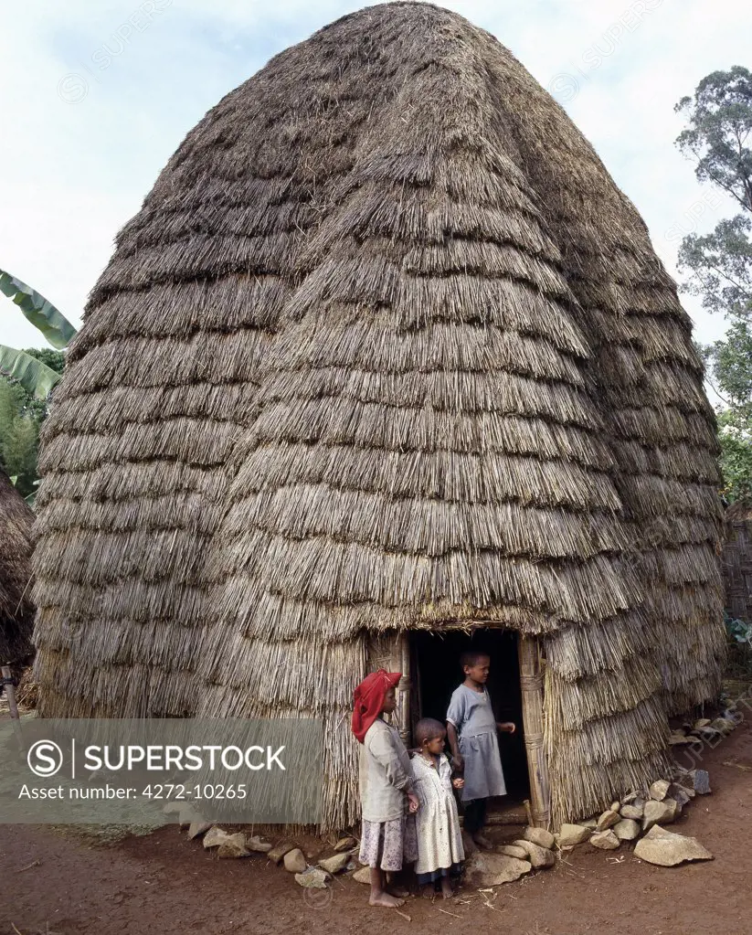 The Dorze people living in highlands west of the Abyssinian Rift Valley have a unique style of building their homes.  The twenty foot high bamboo frame is covered with the sheaths of bamboo stems or straw, and resembles a giant beehive.  These remarkable houses can last for forty years or more.