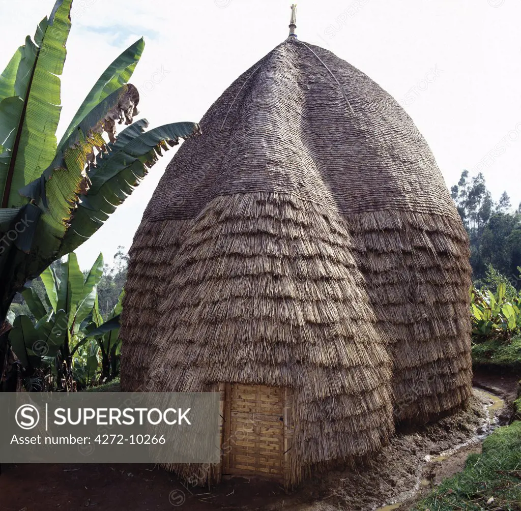 The Dorze people living in highlands west of the Abyssinian Rift Valley have a unique style of building their homes.  The twenty foot high bamboo frame is covered with the sheaths of bamboo stems or straw, and resembles a giant beehive.  These remarkable houses can last for forty years or more.