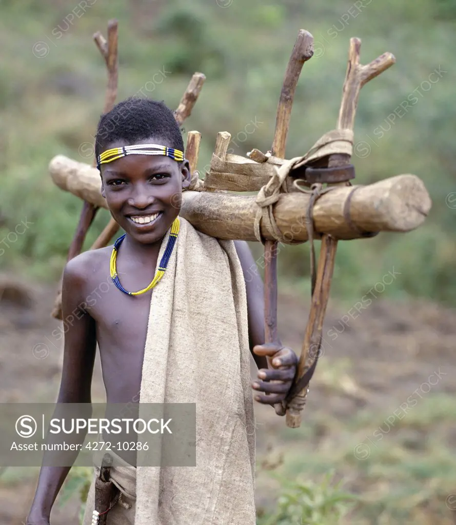 A Konso youth of southwest Ethiopia carries home a wooden yoke used by pairs of oxen to plough the land.