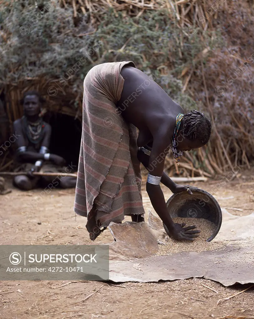 A Dassanech woman winnows grain by pouring it from her metal tin and letting it fall onto a calfskin.  Much the largest of the tribes in the Omo Valley numbering around 50,000, the Dassanech (also known as the Galeb, Changila or Merille) and Nilotic pastoralists and agriculturalists.