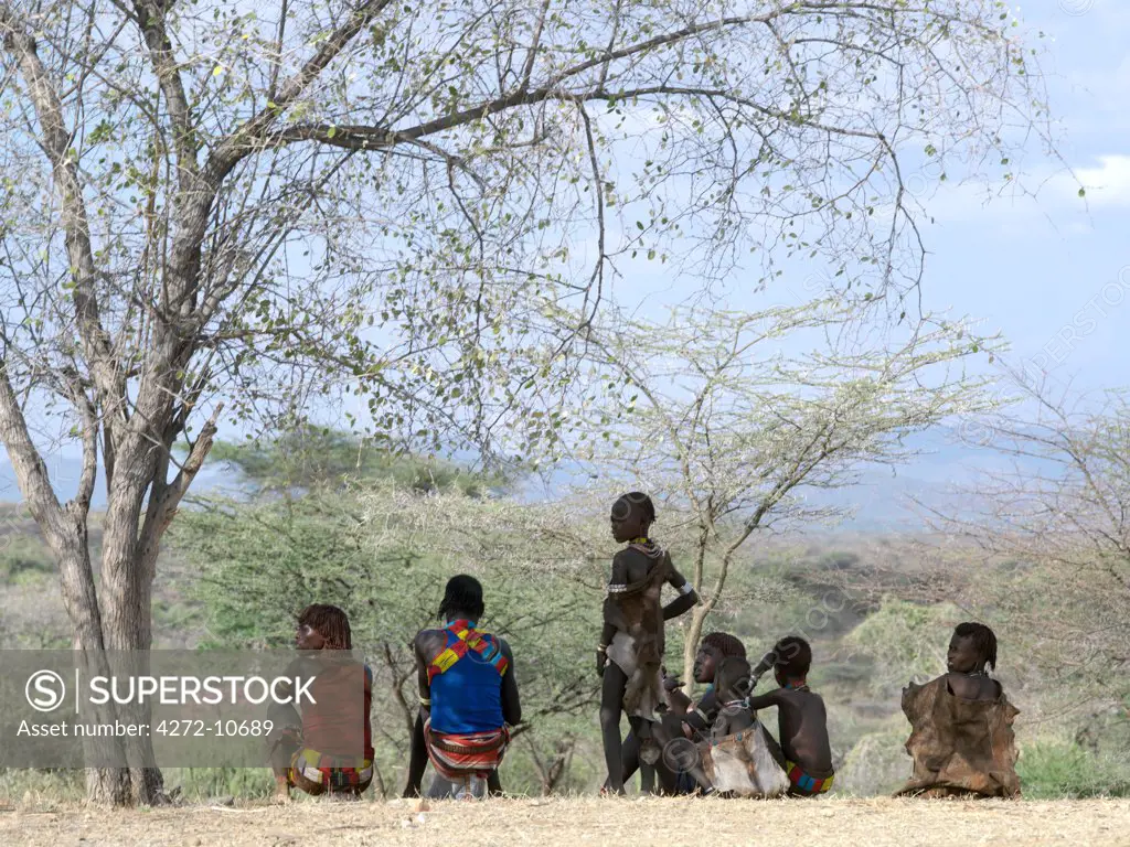 Ethiopia, Southwest Ethiopia, Hamar Mountains. A group of Hamar people rest under the shade of a tree.The Hamar are semi-nomadic pastoralists of Southwest Ethiopia whose richly-ochred women have striking styles of traditional dress. Skins are still widely used for clothing. While women and children sit on the ground, Hamar men always use their wooden stools, which double as pillows at night.