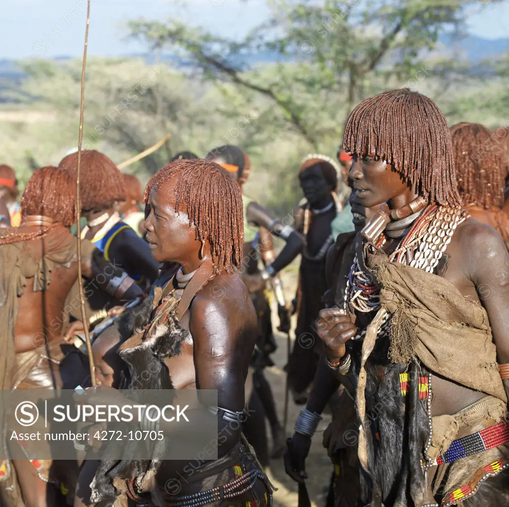 A group of Hamar women at a Jumping of the Bull ceremony. The Hamar are semi nomadic pastoralists of Southwest Ethiopia whose women wear striking traditional dress and style their red ochred hair mop fashion.