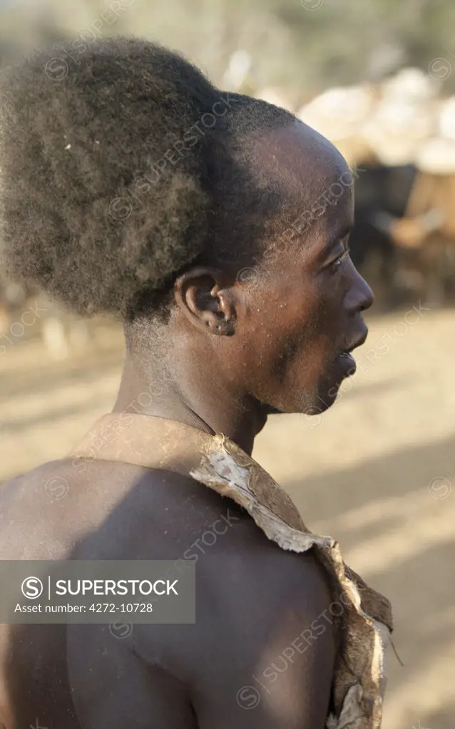 In the late afternoon, a young Hamar man, his hair fuzzed up, waits pensively before removing his skin cape to jump over his familys bulls during a Jumping of the Bull ceremony.The semi nomadic Hamar of Southwest Ethiopia embrace an age grade system that includes several rites of passage for young men.