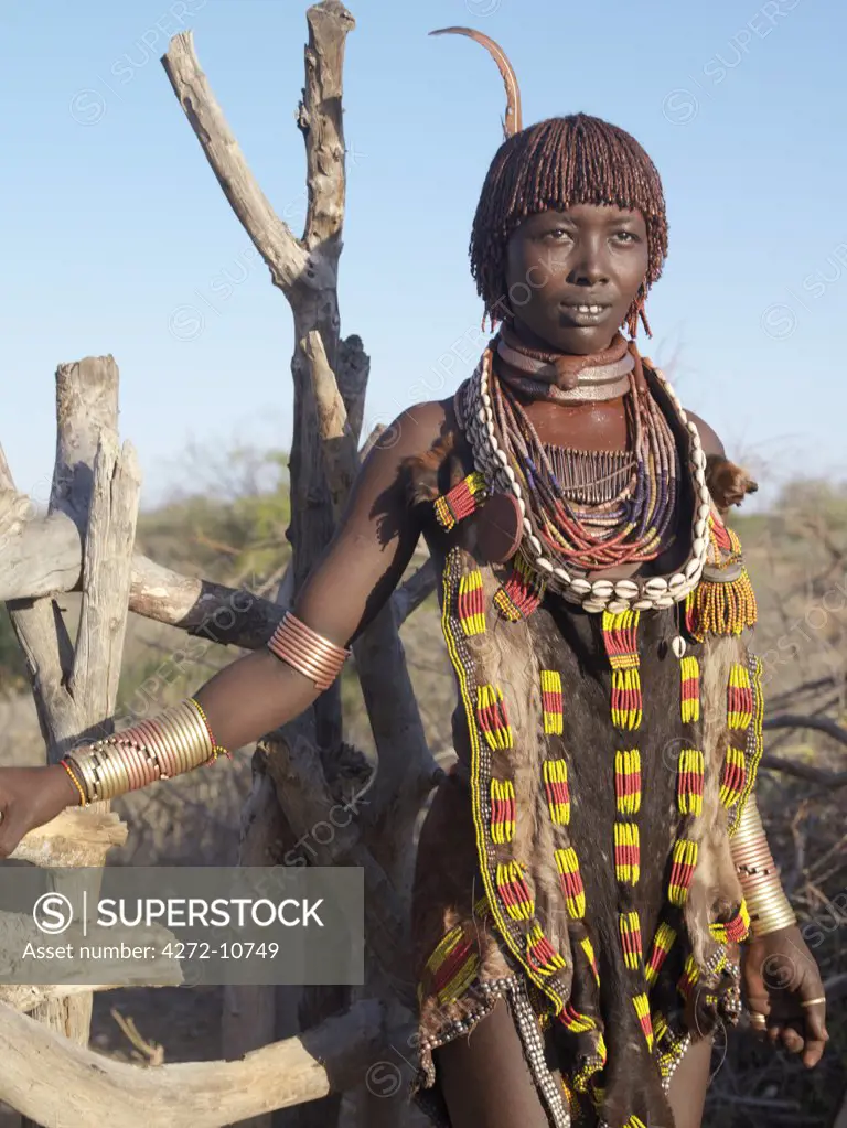 A Hamar woman at her homestead in the Hamar Mountains.The Hamar are semi-nomadic pastoralists of Southwest Ethiopia whose women wear striking traditional dress Skins are widely used for clothing and heavy metal necklaces, bracelets and anklets form part of their adornments. Cowries are also popular to embellish a woman's appearance.