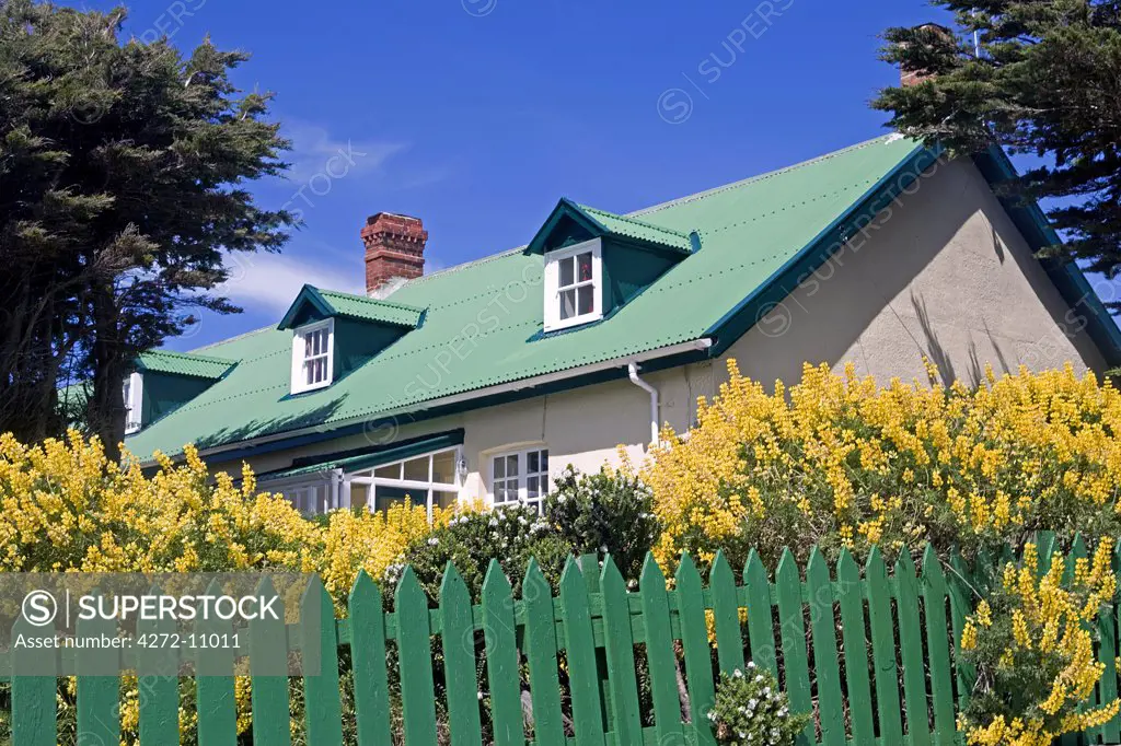 Frontage of a typrical tin-roofed cottage on Ross Road in the Port Stanley showing cottage gardens and green painted tin roof.