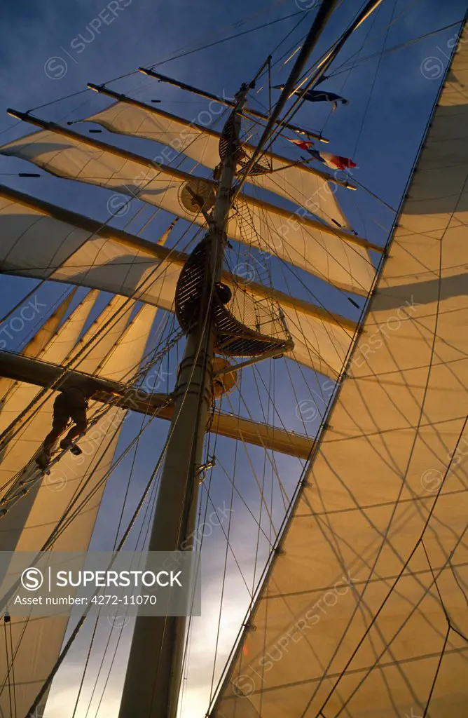 Star Flyer (one of the Star Clippers' ships). Passengers are often allowed to climb the masts of the Star Flyer, a barquentine used primarily for upmarket cruises.