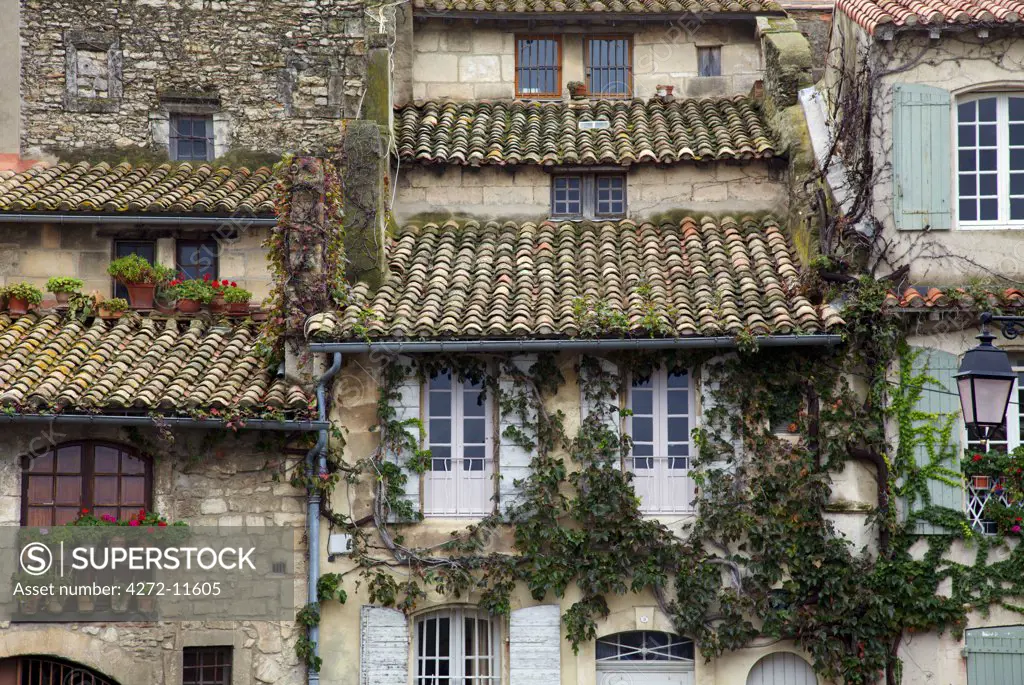 Arles; Bouches du Rhone, France; Facades of houses covered with plants, overlooking the river