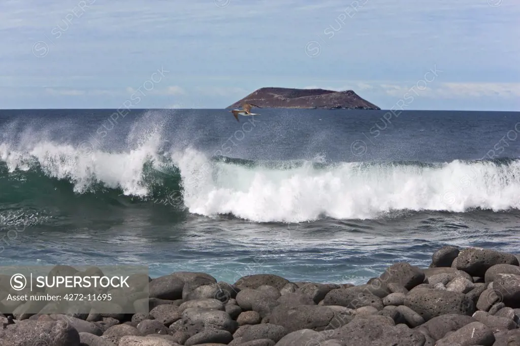 Galapagos Islands, A view from the rocky shores of North Seymour island looking towards Daphne Major.