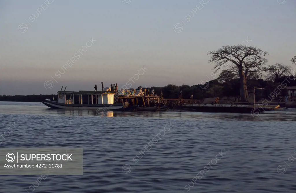 The Gambia, Gambia River, Mootah Point. A river boat is moored alongside one of the occasional villages that punctuate  the Gambia River's undeveloped and often pristine banks.