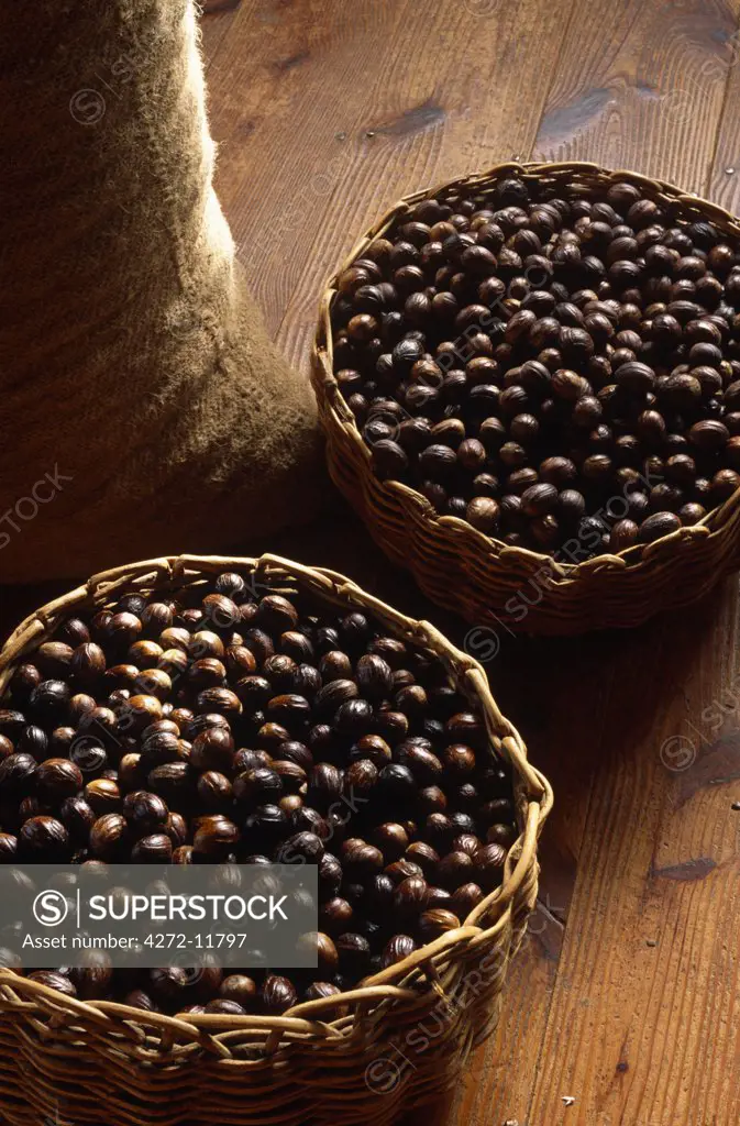 Caribbean, Grenada. Harvested Nutmeg on the island of Grenada. The most important species commercially is the Common or Fragrant Nutmeg Myristica fragrans, native to the Banda Islands of Indonesia. The pericarp (fruit/pod) is used in Grenada to make a jam called Morne Delice.