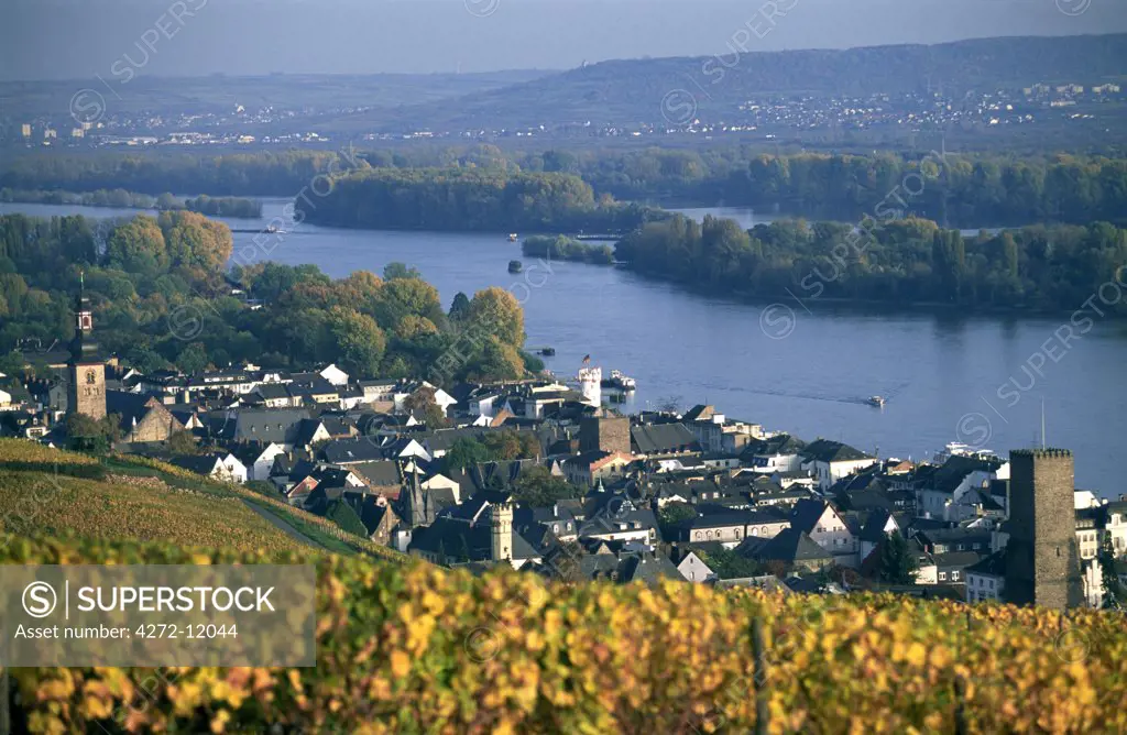 Rudesheim, Rhine, Hesse, Germany