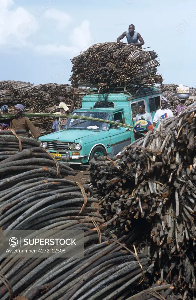 Ghana, Volta Region, Anyanui. Firewood is sold at the market at Anyanui by the Volta River.