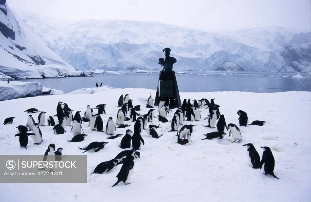 Antarctica, Elephant Island, Point Wild. Chinstrap penguins (Pygoscelis antarctica) & memorial at Shackleton's camp site