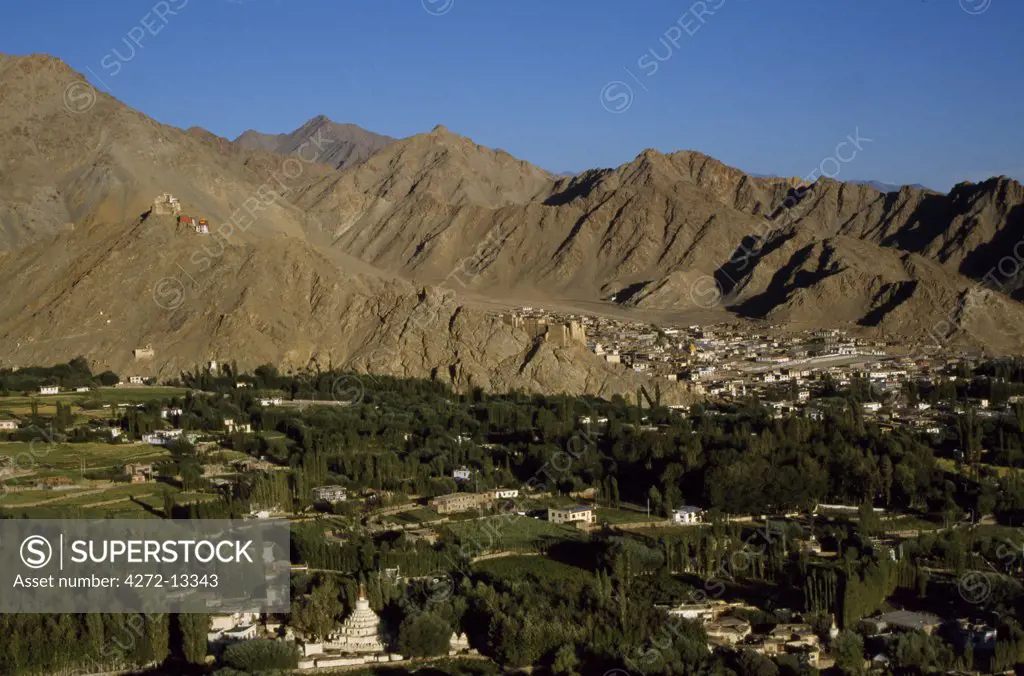 India, Ladakh. View of Leh, capital of Ladakh in the Indus Valley