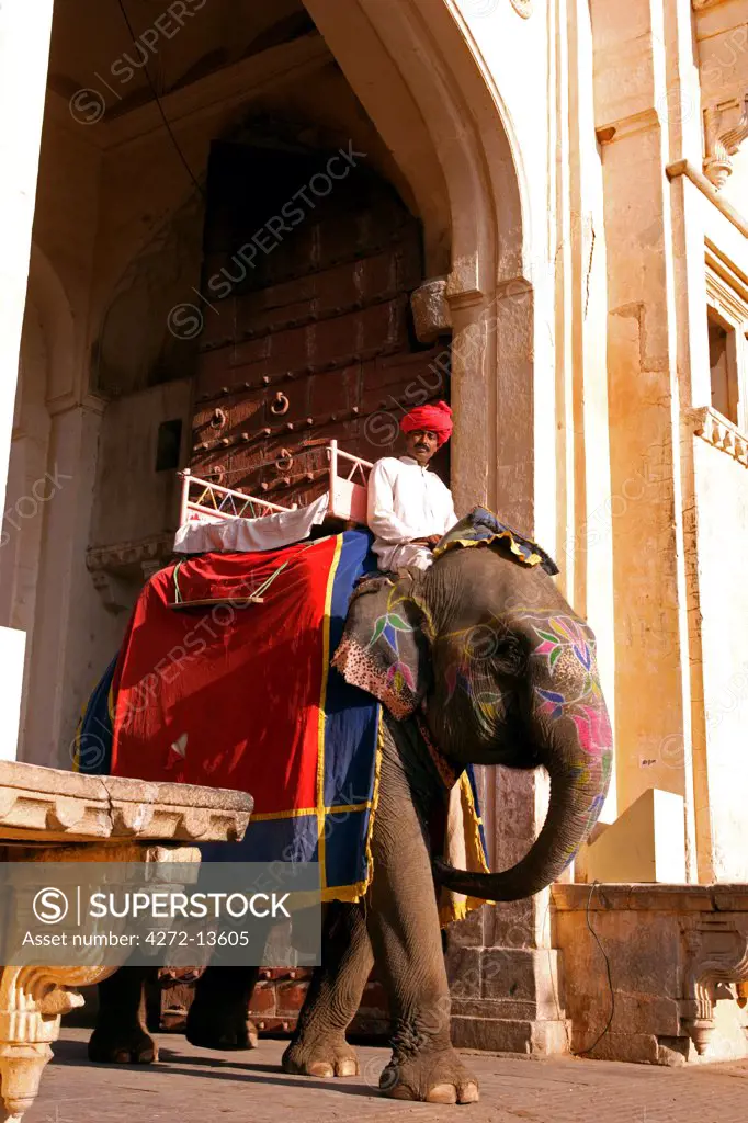 Elephant and mahout exiting through the main gate of Amber Fort in Jaipur,