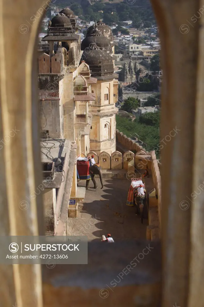 Amber fort in Jaipur showing elephants on their way to the tourist route