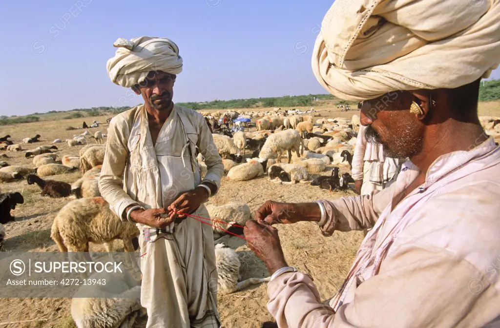 Nomadic Rabari tribesmen, Rann of Kutch, State of Gujarat, India