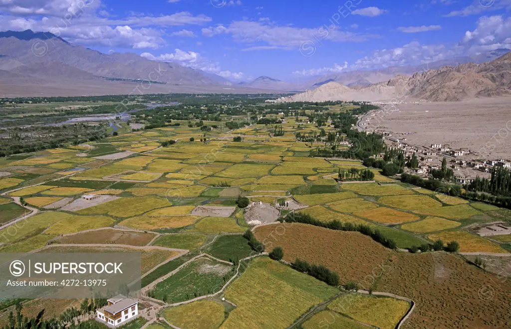 View of the Indus Valley from Thikse Monastery, Ladakh, North West India