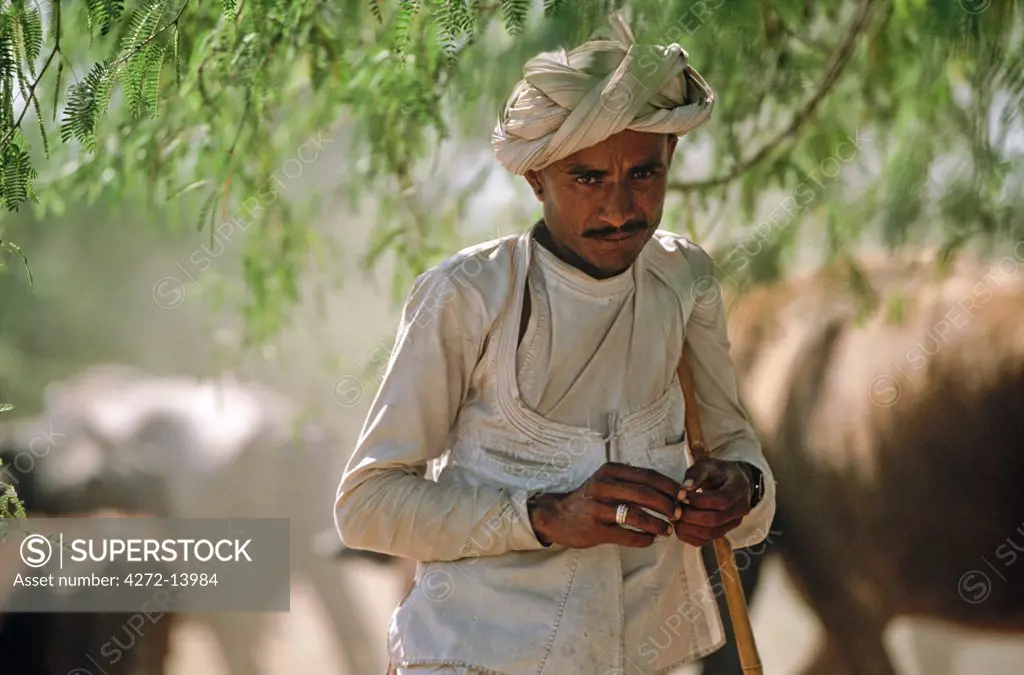 Nomadic, Rabari tribesman, State of Rajasthan, India