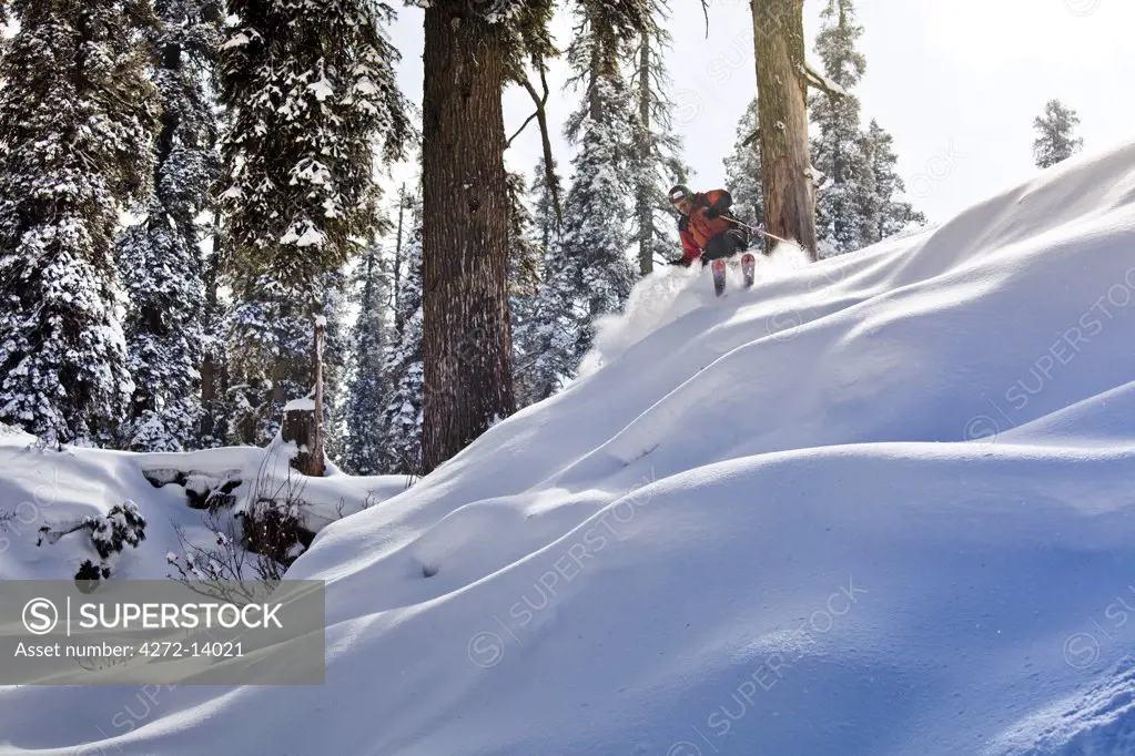 A skier in Gulmarg, Kashmir, India