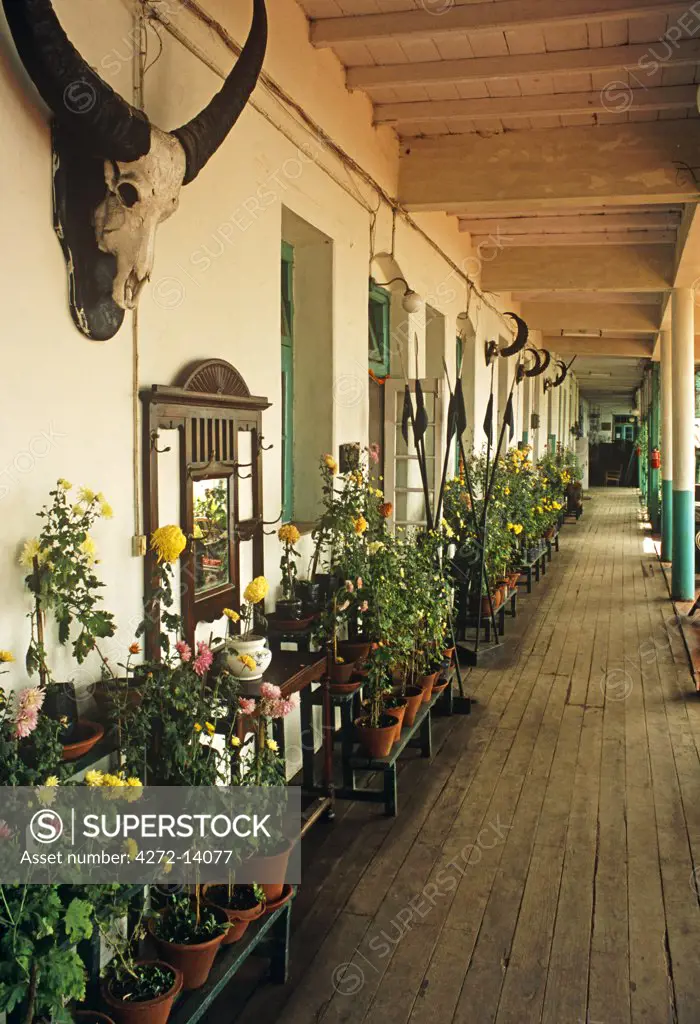 India, West Bengal, Darjeeling. The terrace of the Darjeeling Club, formerly Planters' Club, a colonial-era club established for the tea planters.