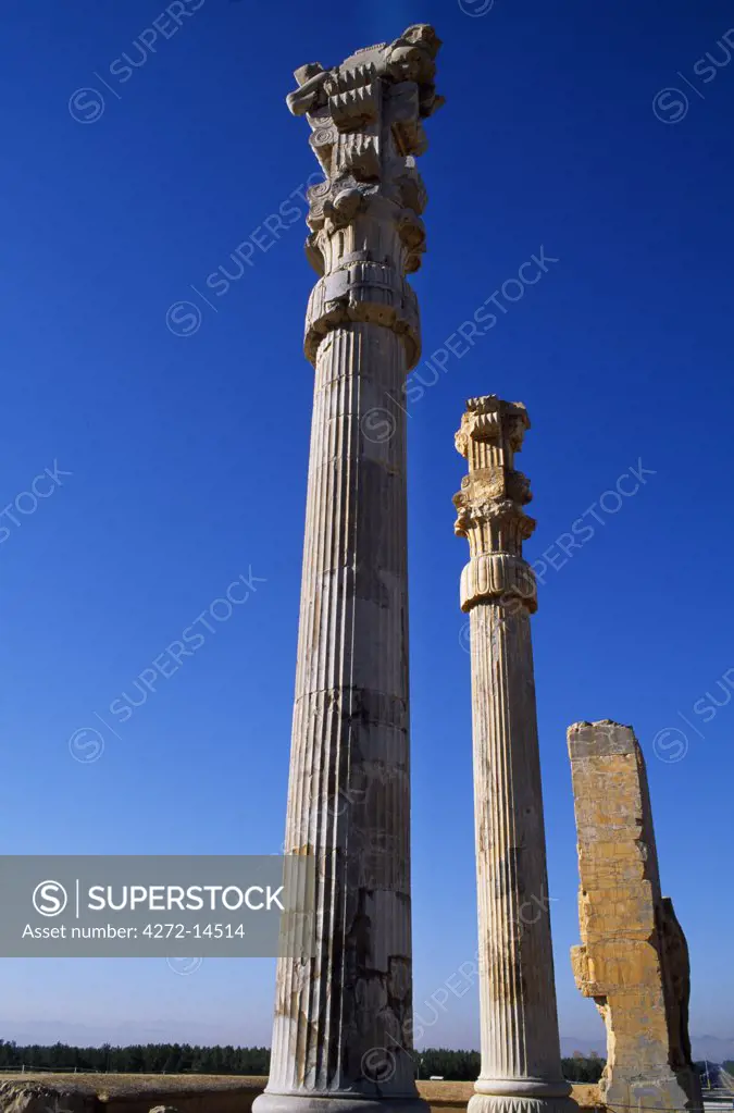 Iran, Persepolis. Decorative capitals surmounting fluted columns, each sixty feet high, which supported the cedarwood ceiling of the palace of Persepolis, near Shiraz.In about 512BC, Darius I started constructing this massive and magnificent palace complex to serve as a summer capital for the observance of Nou Ruz.