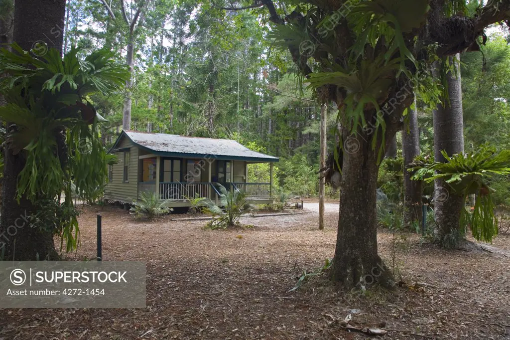 Australia, Queensland, Fraser Island. The old logging camp of Central Station in Fraser Island's inland rainforest.  Once a centre for logging, the island is now World Heritage Listed and a national park.