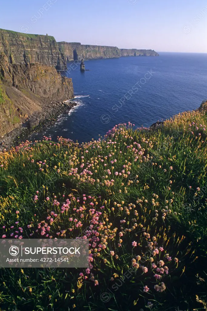Ireland, Co. Clare. The Cliffs of Moher.