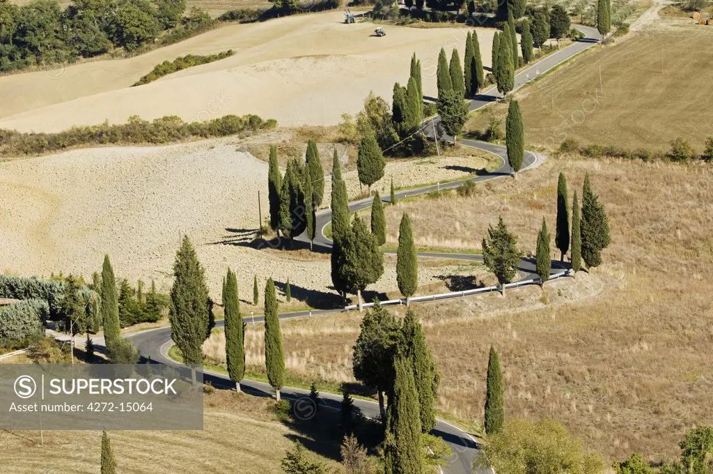 Italy, Tuscany, Montichiello. Cypress trees line a winding country road outside the village of Montichiello in Val d'Orcia.