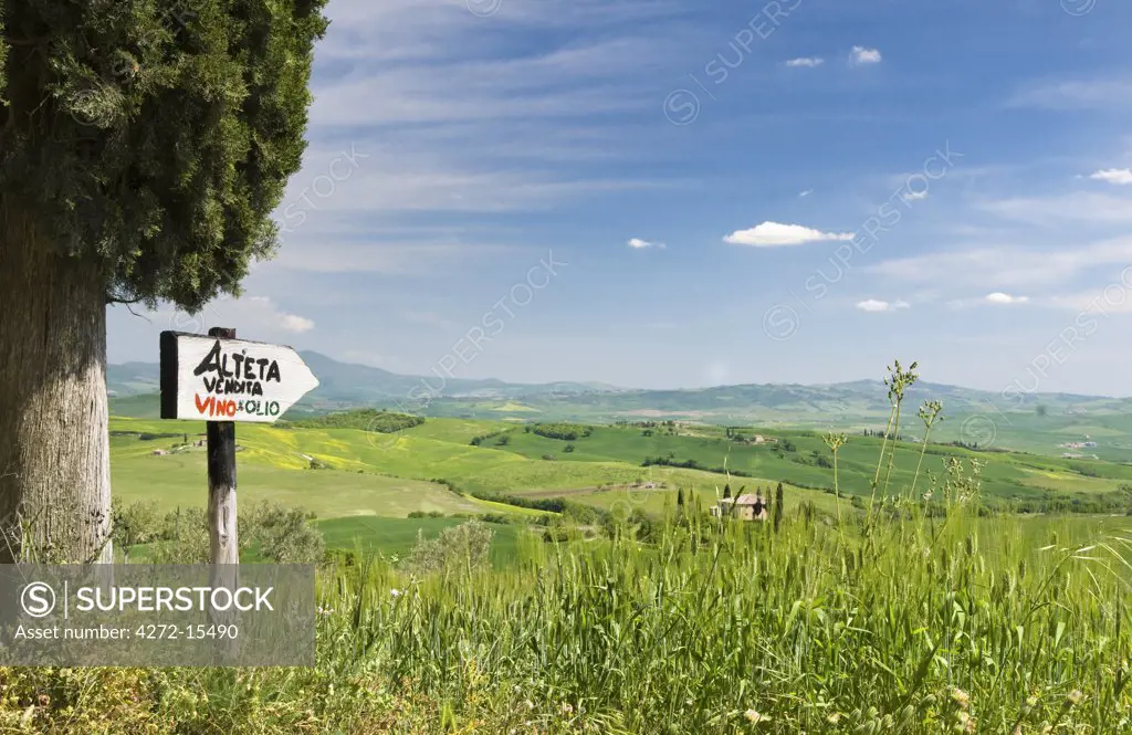 Traditional Tuscan landscape near San Quirico, Valle de Orcia, Tuscany, Italy