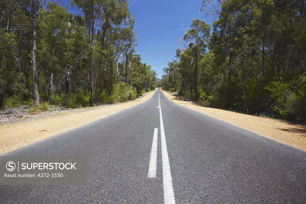 Vasse Highway passing through forests, Western Australia, Australia