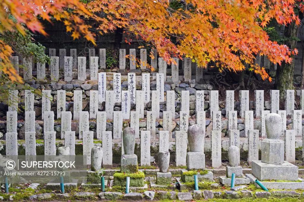 Asia, Japan. Kyoto, Sagano, Arashiyama, cemetery and autumn leaves
